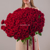 101 красная роза 70см