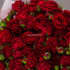 Нежное прикосновение