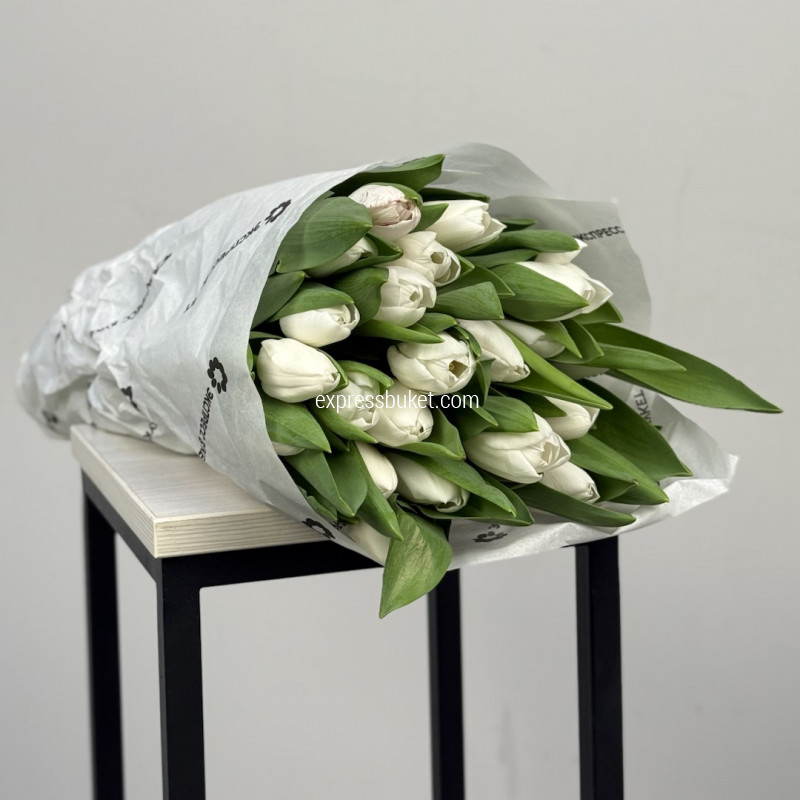 Тюльпаны белые 25 штук