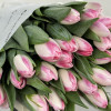 Тюльпаны розовые, 25шт