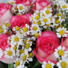 Букет из роз Джумилия с танацетумом