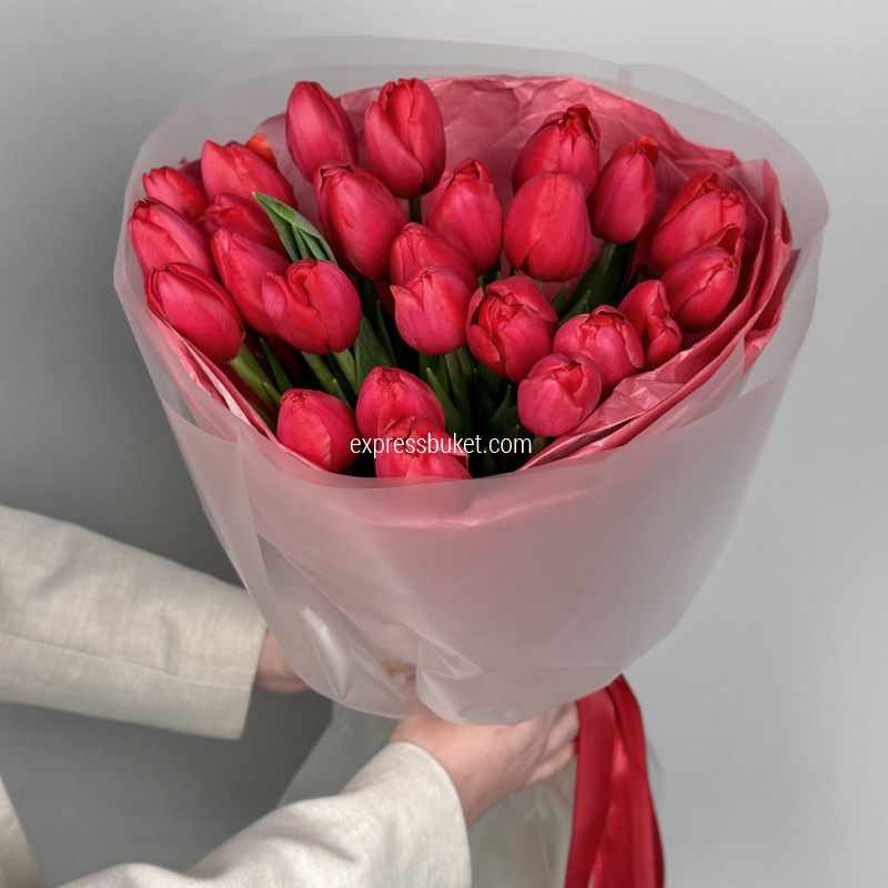 Тюльпаны "Красный бархат"