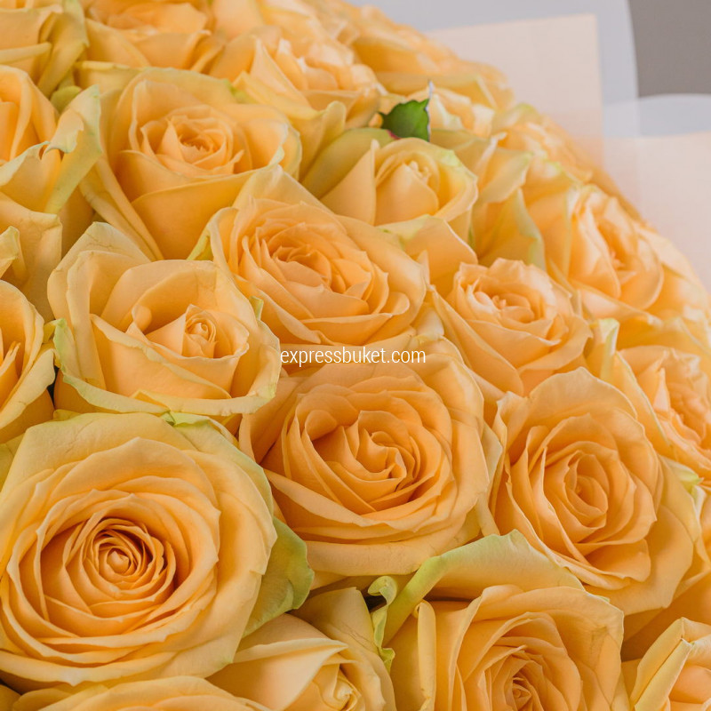 Букет из 51 розы Аваланж Пич