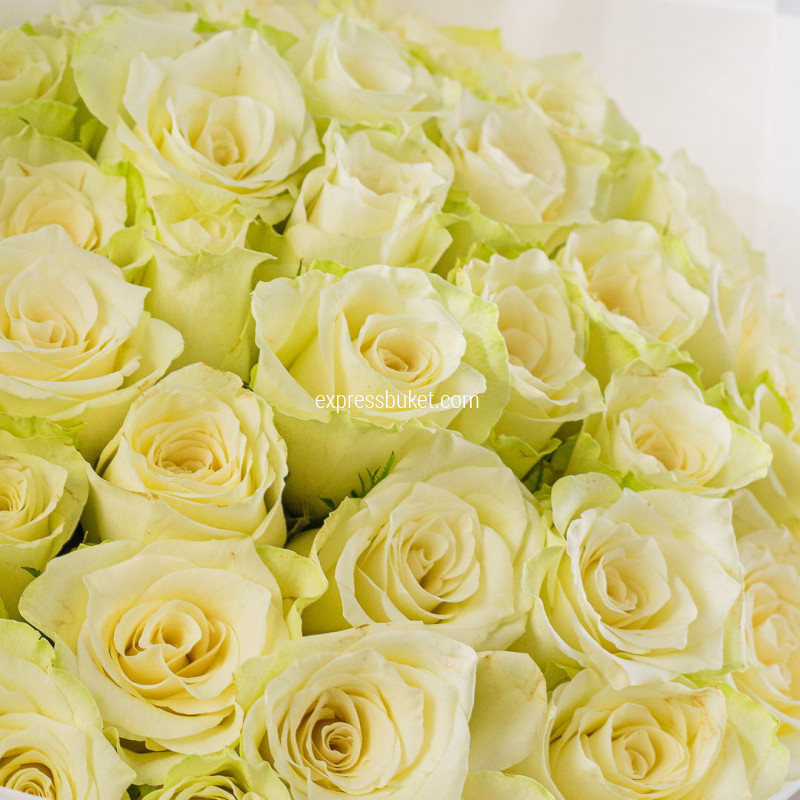 Букет из 35 белой розы 40 см