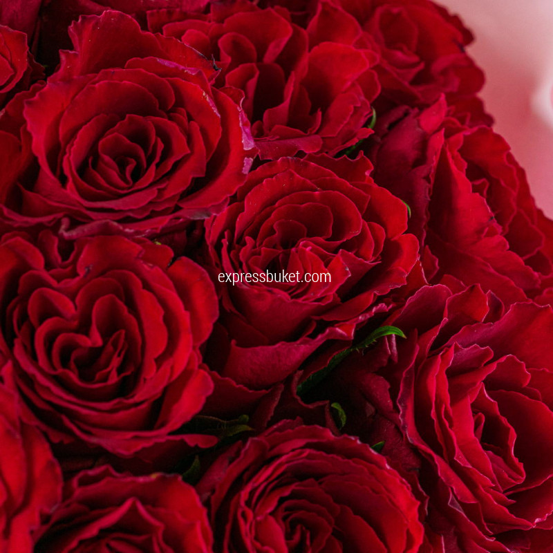 Букет из 15 красных роз