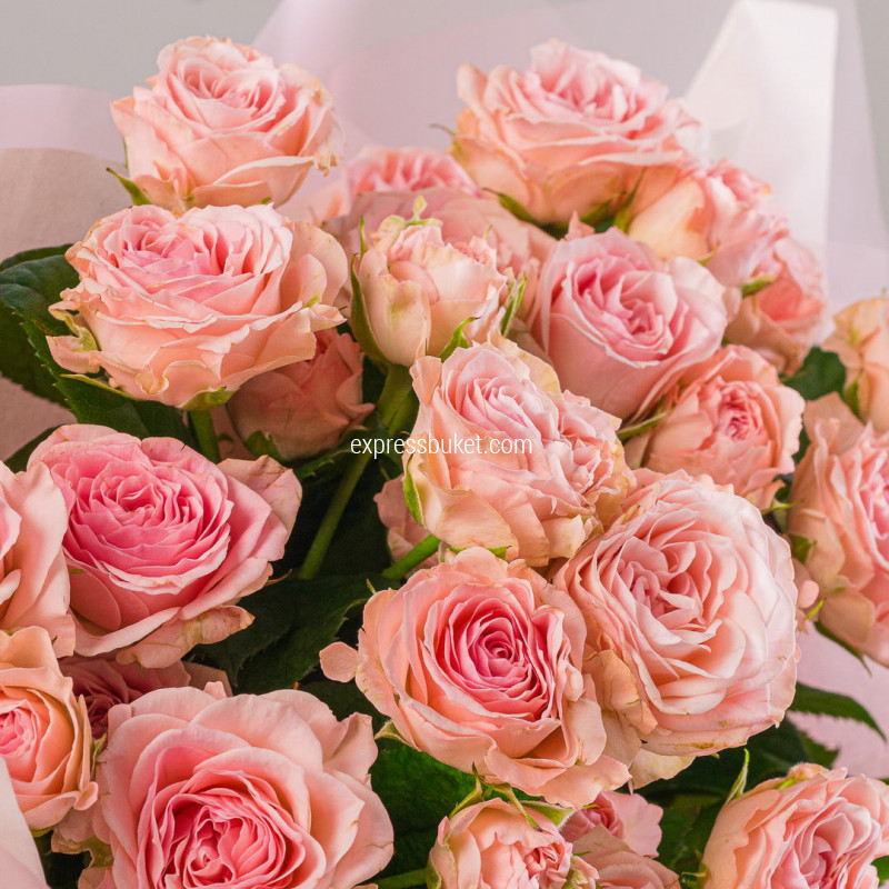 7 кустовых роз