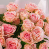 7 кустовых роз