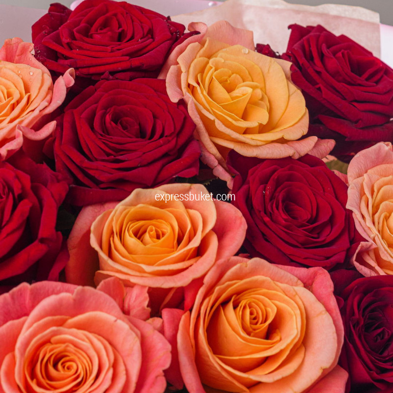Микс роз персиковые+красные 15шт
