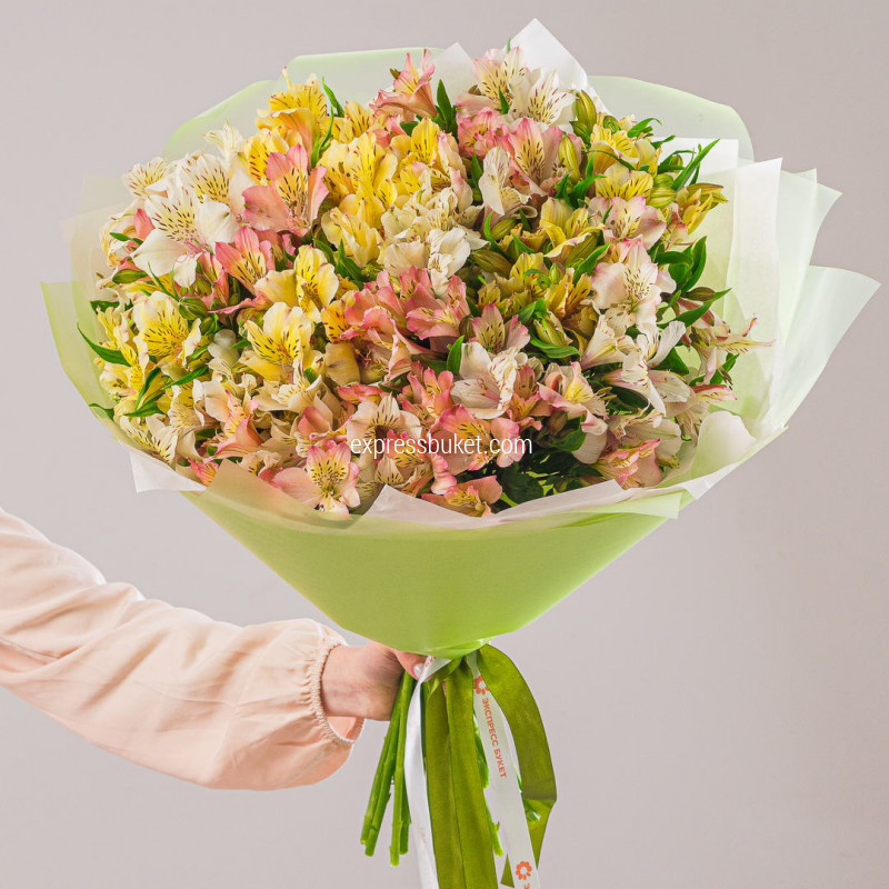 Букет из 19 альстромерий