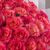Букет роз Джумилия 35 шт