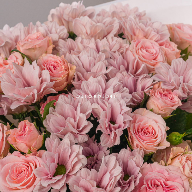 Ласковое утро