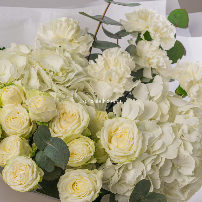 Тишина в цветах