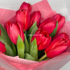 Тюльпаны красные 11 штук