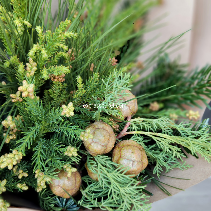 В цвете Нового года