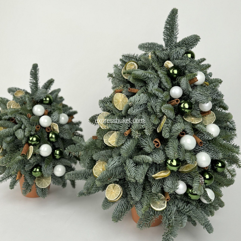 Грандиозная зима